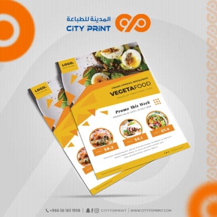 فلاير2
