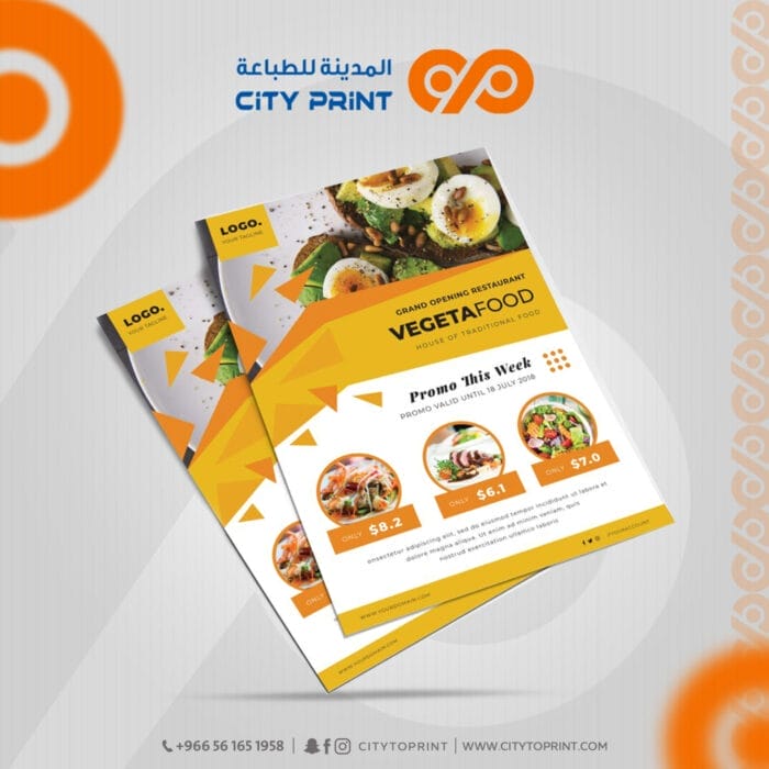 فلاير2